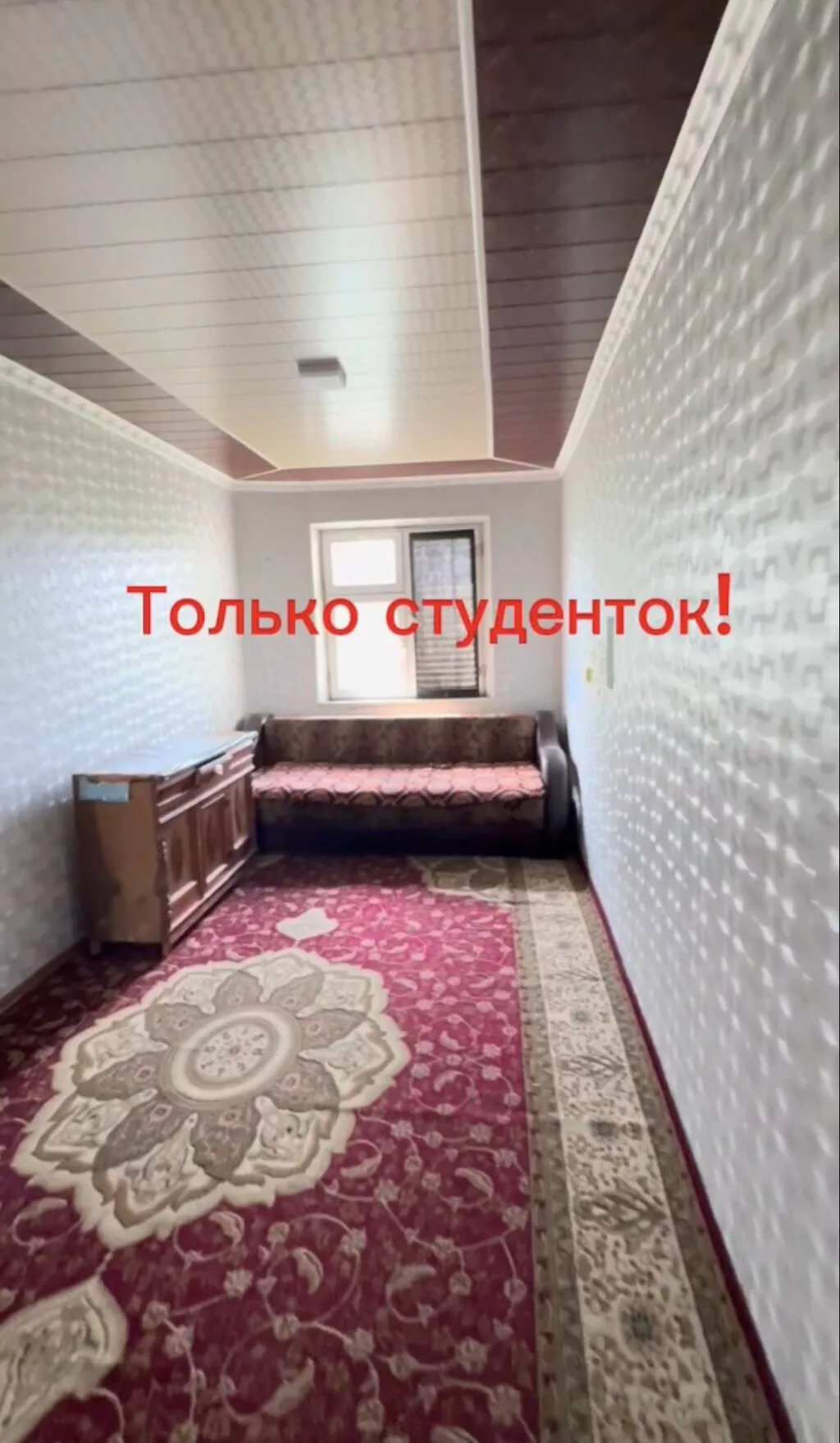 Сдаю квартиру студенткам. Первокурсницам, второкурсницам. С одного