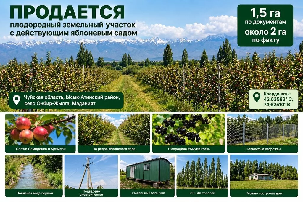 150 соток, Для бизнеса, Тех паспорт, Договор дарения