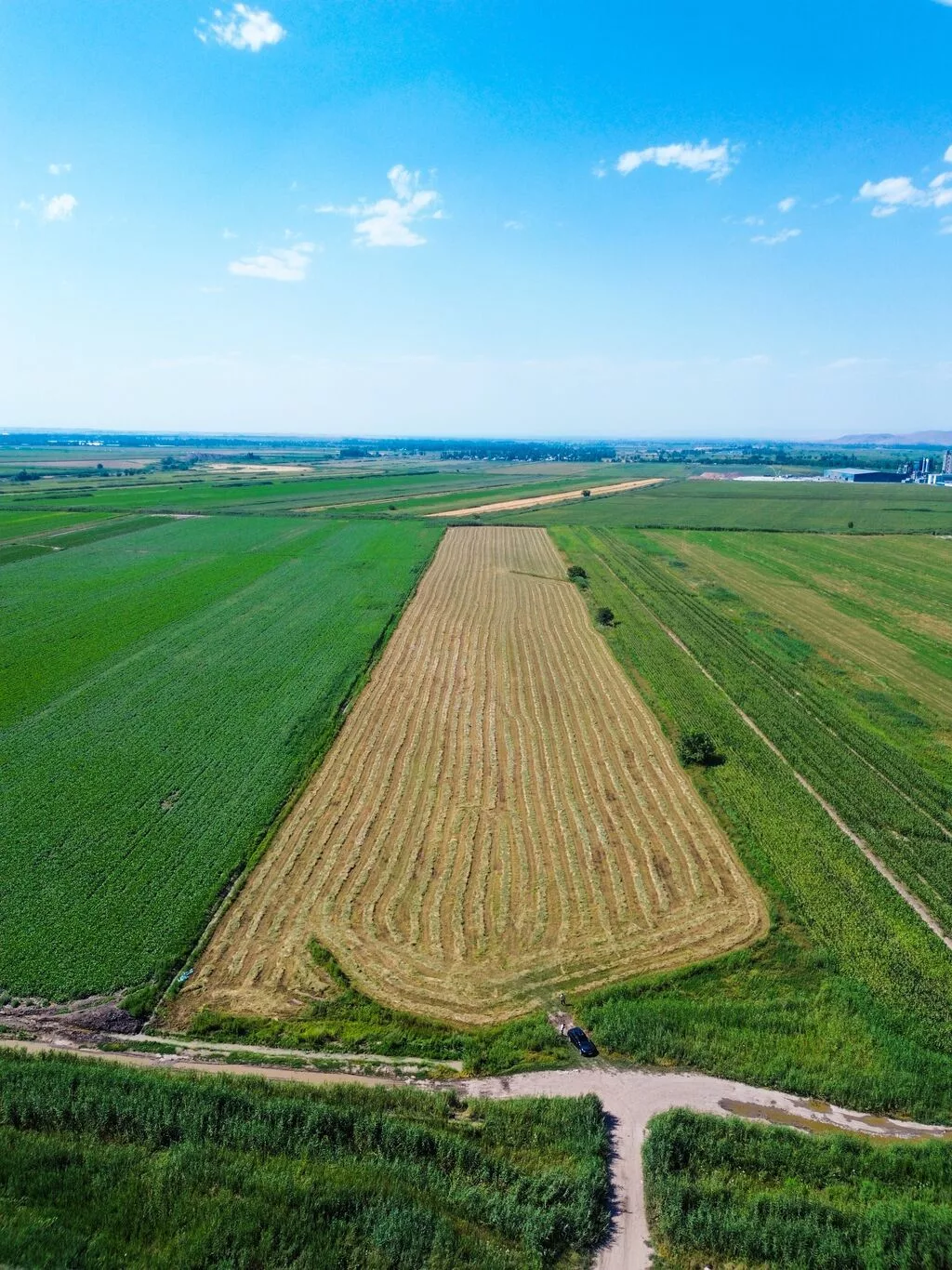 100 соток, Для сельского хозяйства, Договор купли-продажи
